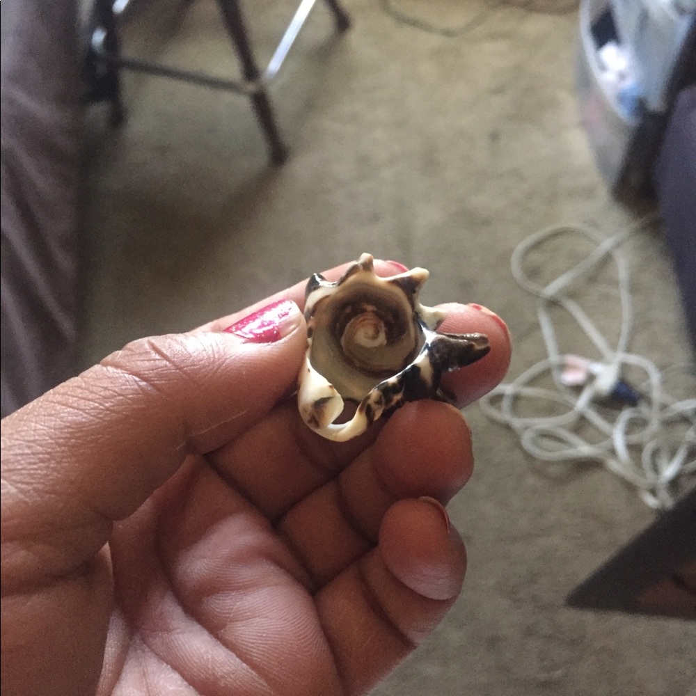 Conq shell ring - Picture 2 of 2